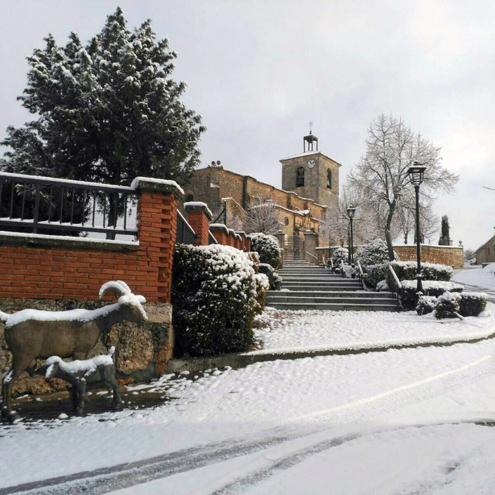Escultura en cemento especial. Cabras. Ruta de las esculturas. Mecerreyes, Burgos