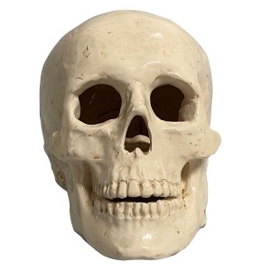 escultura calavera frontal