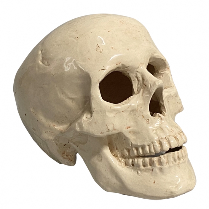 escultura calavera perfil izquierdo