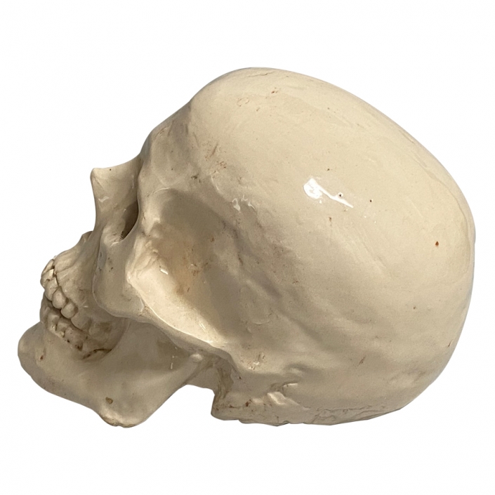 escultura calavera vista posterior