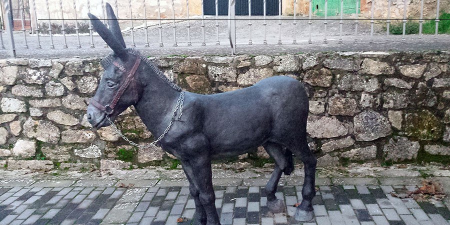 Escultura Burro Mecerreyes Esculturas